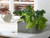 Watering plants in a keter large farm box