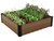 Maple square raised bed with vegetables