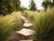 Stipa ponytails