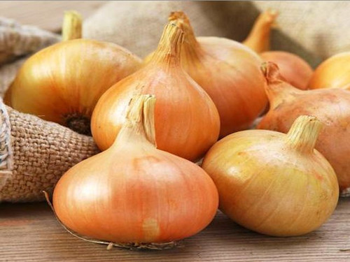 Stuttgart onions have great flavour and golden skin colour
