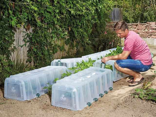 Garantia sunny mini growing tunnel
