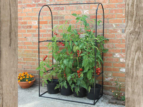 tomato crop booster frame without the cover