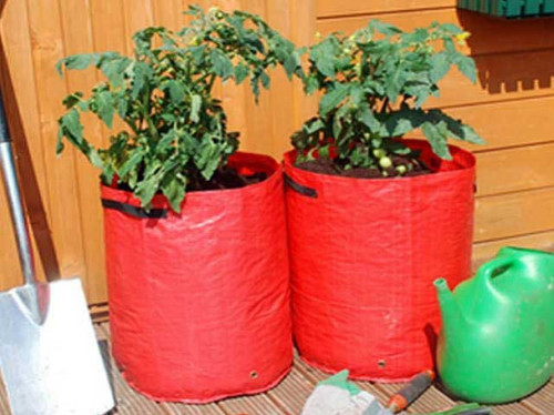 tomato planters for growing your own tomatoes