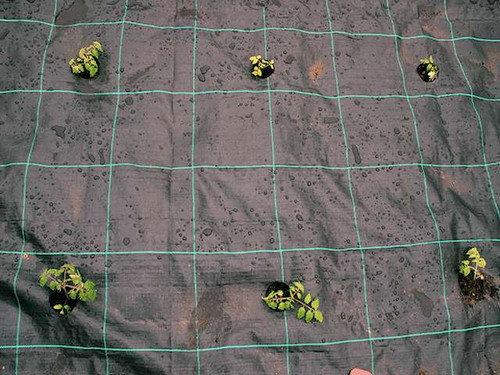 Gro grid weed prevention mat