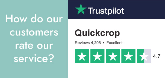  See what our reviews and rating is on Trustpilot