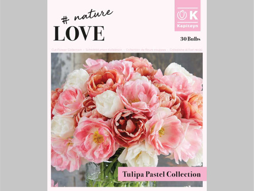 Tulip double pastel bouquet collection spring planted bulbs