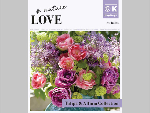 Tulip and Allium Bouquet Collection spring flowering bulbs