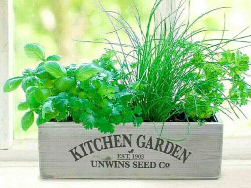 Unwins Homegrown Herb Kitchen Garden