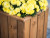 Easy to assemble outdoor timber patio planter