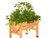 Perfect for herbs salads and other good vegetables