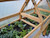 Vegtrug Cold Frame 1.8 m