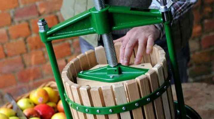 Vigo crusher in operation with basket of apples in the background