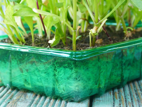 Visiroot Seed Tray 4 pack
