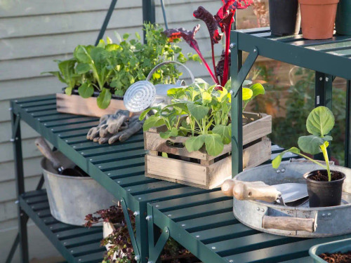 Vitavia greenhouse staging extensions