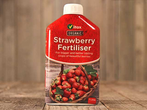 liquid strawberry plant feed and fertiliser