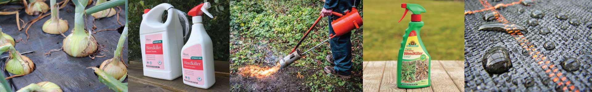 Sustainable and organic weed control products