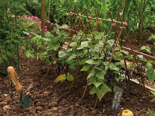 Willow Plant Sticks - 90cm