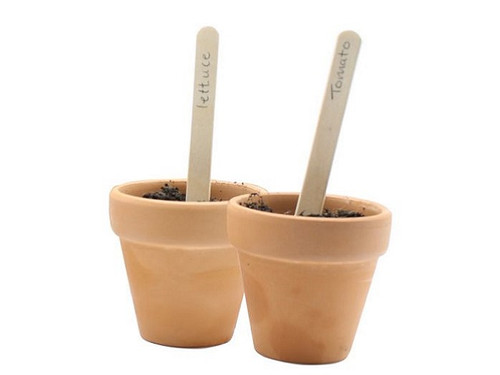 Plant labels that look like ice pop sticks