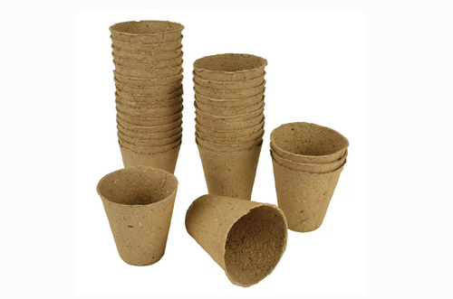 wood fibre pots