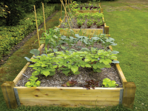 High yielding vegetable garden installed for you
